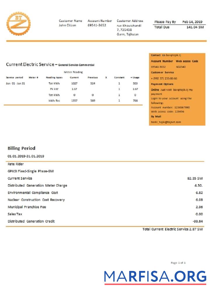 Blank Tajikistan Barqi Tojik Company electricity utility bill template in Word and PDF format